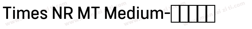 Times NR MT Medium字体转换
